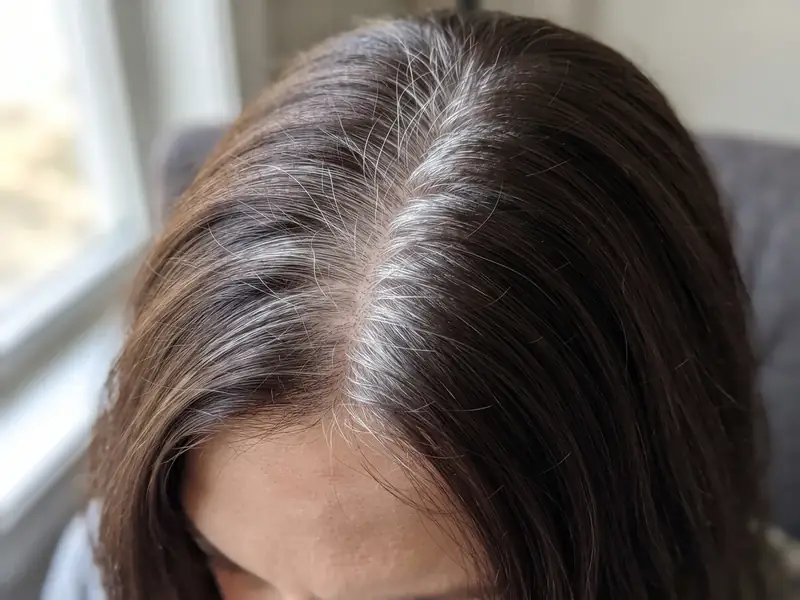 A close-up of a part in dark brown hair with a band of white and gray regrowth at the roots